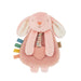 Itzy Ritzy Lovey Plush Toy