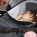 caption-Infant rests in Veer Bassinet