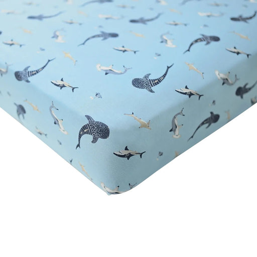 caption-Stream Shark- Kyte Baby Crib Sheet - nurtured.ca